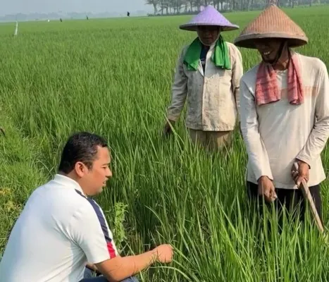 Foto:  Mantan Walikota Tangerang, Arief R Wismansyah akan membagikan sebanyak 100 ton beras kepada masyarakat Pakuhaji. (Dok. Pribadi)