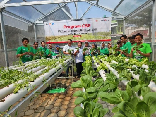 Foto: Peresmian Kebun Hidroponik di Ruang Publik Terpadu Ramah Anak (RPTRA) Cibubur, Jakarta Timur. (Dok. Bank DKI)