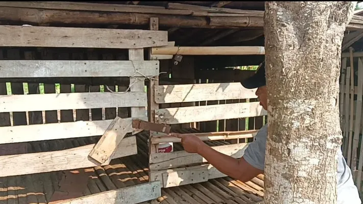 Hendra menunjukkan gembok kandang kambing yang dijebol maling. (dok. Hendra)