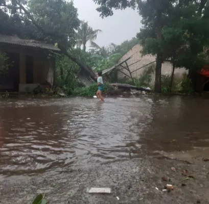 Pohon tumbang akibat hujan deras beserta angin kencang pada Senin, 28 Oktober 2024. (Dok. Dinas Pemadam Kebakaran dan Penyelamatan) 