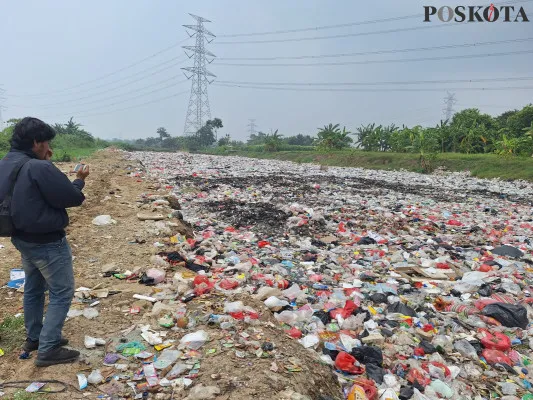 Penampakan lautan sampah di bekas lahan galian persis di tengah sawah Deda Muarabakti, Kecamatan Babelan, Kabupaten Bekasi, Sabtu, 16 November 2024. (Poskota/Ihsan)