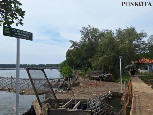 Salah satu lokasi tambak di Gang Kumpi, Kampung Sembilangan, Desa Hurip Jaya, Kecamatan Babelan, Kabupaten Bekasi, Rabu, 20 November 2024. (Poskota/Ihsan)