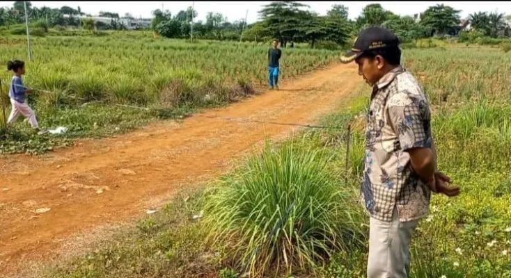 Lahan kosong tempat penemuan jasad bayi di Kampung Bendungan, Tambun Utara, Kabupaten Bekasi. Jumat, 22 November 2024. (Foto/Warga Tambun Utara)