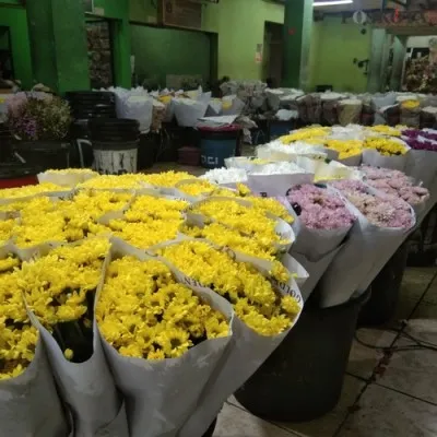 Penjualan bunga di Pasar Rawa Belong, Jakarta Barat jelang pergantian Tahun Baru masih sepi. (foto: poskota/ hutama prayoga)