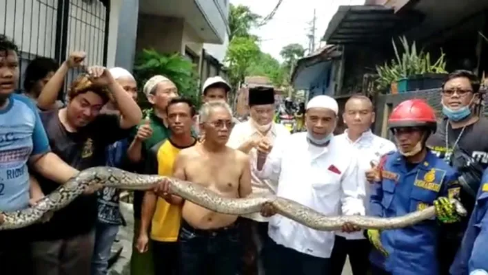 Ular dengan panjang sekitar 3 meter ditemukan petugas Damkar dari saluran rumah milik warga di Jakarta Timur. (Ist)