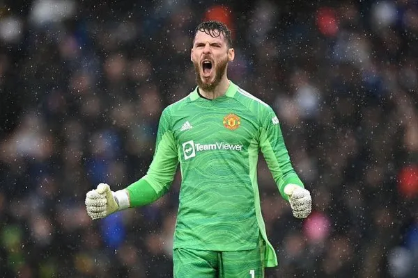 David de Gea, kiper andalan Manchester United (foto: twitter D_DeGea)