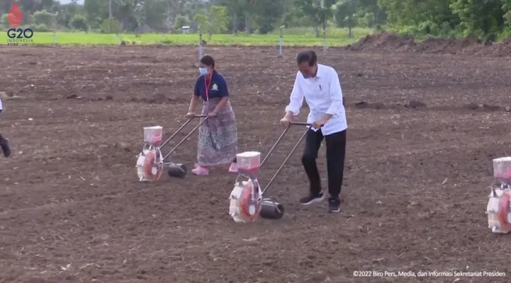 Presiden Jokowi saat meninjau penanaman tanaman jagung di kawasan food estate di Kabupaten Belu, Provinsi NTT, Kamis (24/03/2022) sore. (Foto: Tangkapan Layar YouTube Sekretariat Presiden).