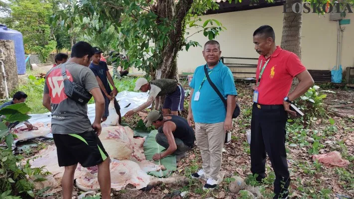 Manajer Operasional CIC Pandeglang saat menyaksikan pemotongan hewan kurban. (Samsul)