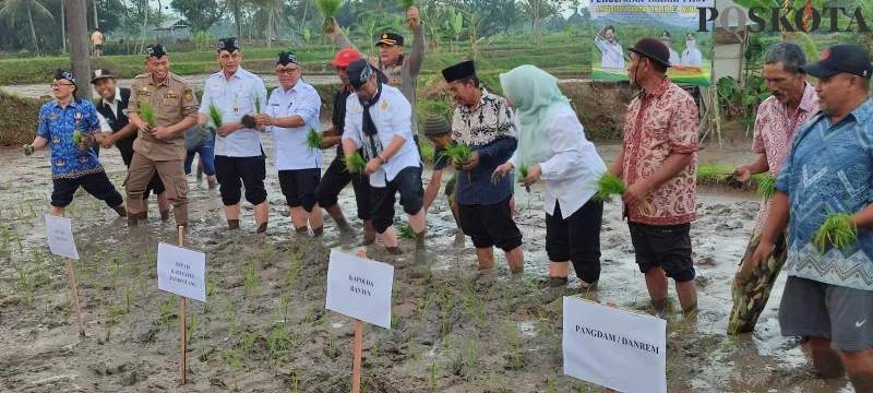 Menteri Pertanian bersama Bupati dan petani di Pandeglang saat melakukan gerakan tanam padi. (samsul fatoni)