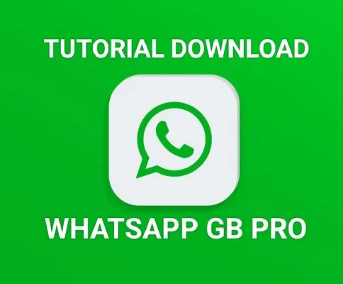 5 Cara Perbaiki GB WhatsApp Tidak Bisa Mengirim dan Menerima Pesan. (Sumber: WhatsApp GB Pro)