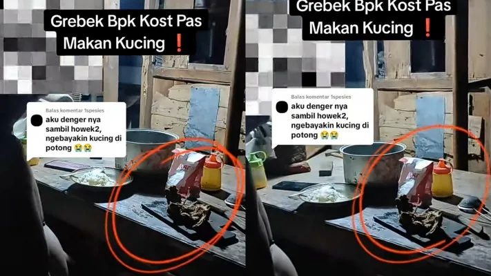 Viral video bapak kos makan kucing milik penyewa. (Foto: tangkapan layar TikTok/@three.in.one)