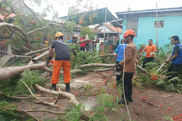 Petugas BPBD Kota Cilegon dan pihak terkait lainnya saat evakuasi pohon tumbang. (Dok. BPBD Kota Cilegon)