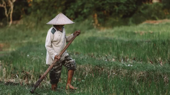 Link daftar program Petani Milenial. (Unsplash/Maksym Ivashchenko)