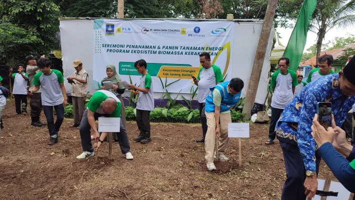 Kegiatan penanaman bibit kayu kaliandra dan gamal di Cinangka, Serang. (Poskota/Samsul Fatoni)