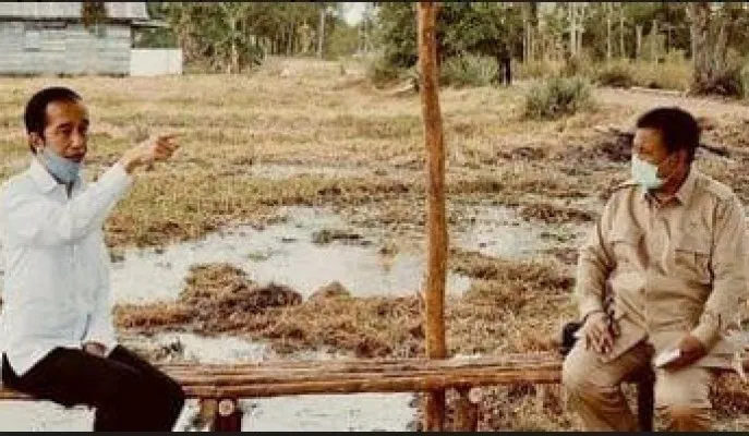 Presiden Jokowi Bersama Menhan Prabowo Memantau Progam Food Estate (foto/ist)