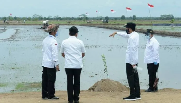 Kunjungan Presiden Jokowi ke Kalimantan Tengah untuk melihat kesiapan lahan lumbung pangan pada Oktober 2020 lalu.