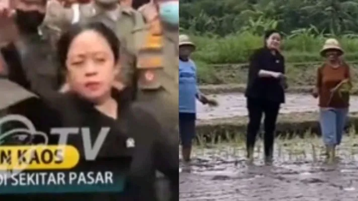 Tangkapan layar video Puan Maharani bagikan kaos dan video Puan Maharani menanam padi bersama petani (Foto: tangkapan layar Instagram)