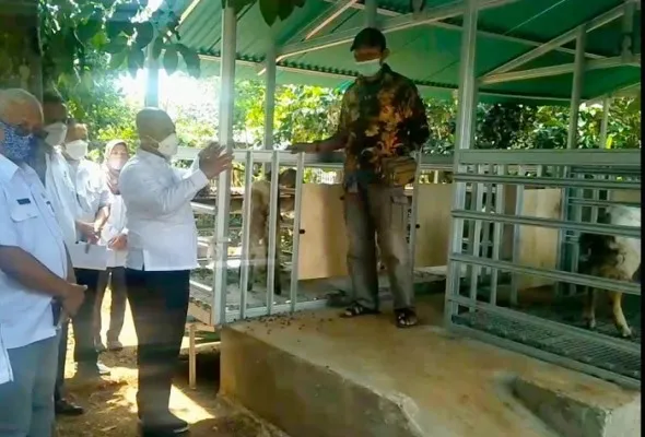 Wali Kota Bekasi Rahmat Effendi saat mengunjung program pengelolaan kambing dari Dinas Ketahanan Pangan, Peternakan dan Perikanan, di Kelurahan Pedurenan, Kecamatan Mustika Jaya, belum lama ini.