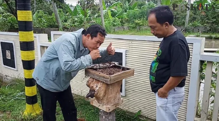 Sejumlah warga saat mencoba menghisap madu di lokasi budidaya lebah madu Trigona, di Kampung Gulpukat, Kecamatan Majasari, Pandeglang. (Foto: Samsul Fatoni).