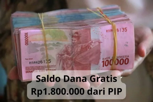 NILK dan NISN siswa ini terpilih, layak klaim saldo dana gratis Rp1.800.000 dari Program Indonesia Pintar, cek selanjutnya di sini. (Unsplash/Mufid Majnun)