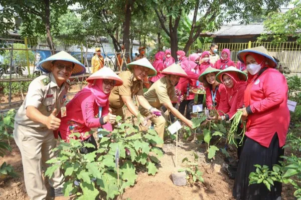 TP PKK Jakarta Utara melakukan ketahanan pangan dengan menanam tanaman. (Ist)