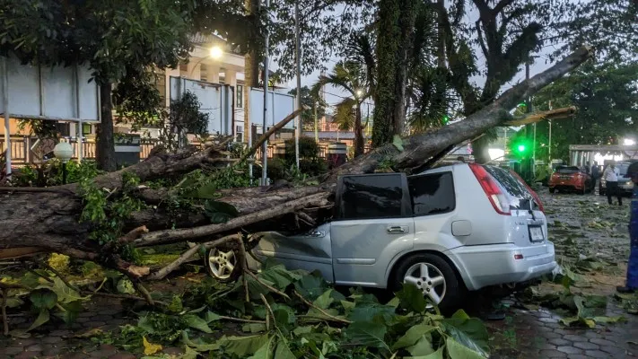 Mobil pribadi milik Kepala Bidang (Kabid) Perlindungan Jaminan Sosial (Perjamsos) pada Dinas Sosial (Dinsos) Kabupaten Bogor, Rahmat Mulyana ringsek tertimpa pohon (Panca Aji)