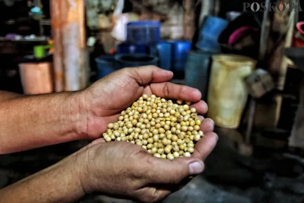 Stok kedelai dipastikan aman.