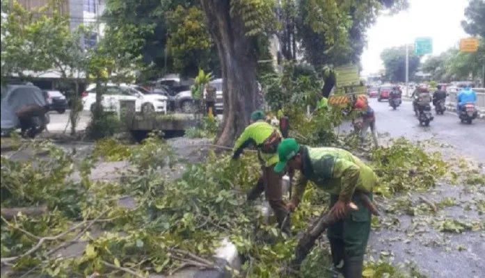 Petugas sedang memangkas sejumlah pohon di wilayah Kemayoran, Jakarta Pusat. Ilustrasi. (foto: ist) 