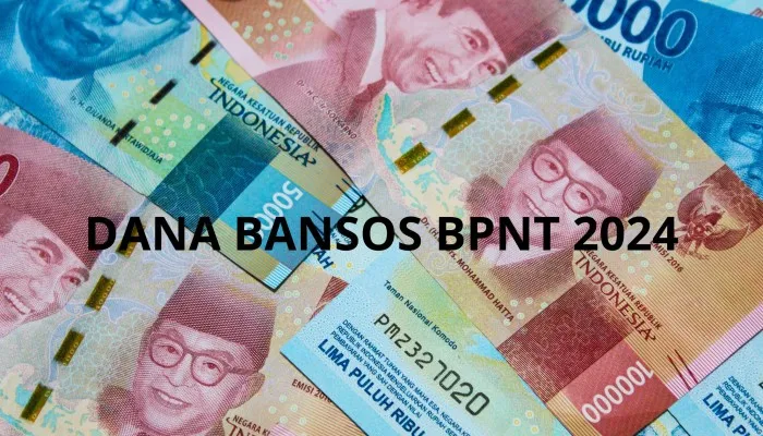 NIK E-KTP dan nomor HP Anda telah menerima saldo Dana Rp2,4 juta dari bansos BPNT cair Juli 2024, Cek selengkapnya disini. (PosKota/Nur Rumsari)