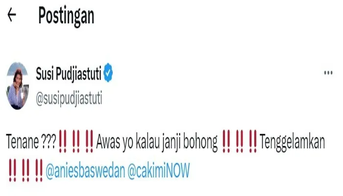 Cuitan Susi Pudjiastuti di X bakal tenggelamkan pasangan Anies-Cak Imin. (tangkap layar)