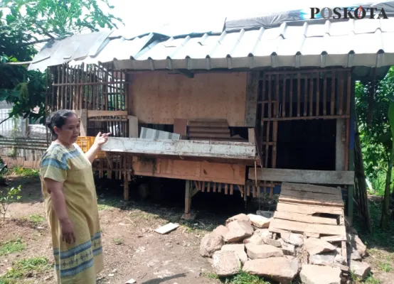 Suwarsih warga Mustikajaya, Bekasi menunjukan kandang tempat kambing miliknya hilang dicuri. (Ihsan)