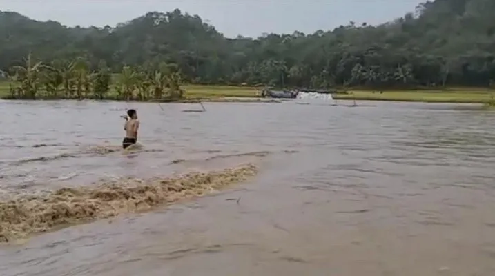 Luapan Sungai Cibarani merendam sawah di Bojongmanik, Kabupaten Lebak. (ist)