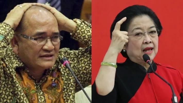 Kolase foto Ruhut Sitompul dan Megawati (Foto: ist.)