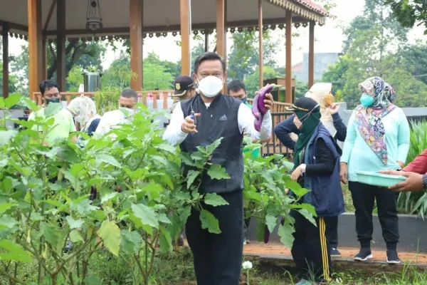 Walikota Jakarta Selatan, Munjirin panen sayuran di Argo Wisata Ragunan. (Ist)