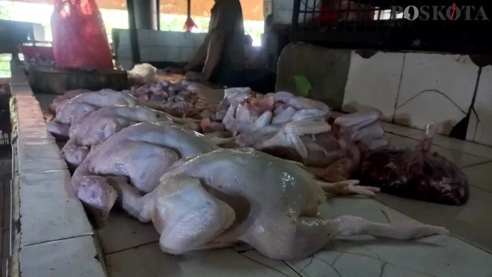 Foto: Harga ayam negeri di Pasar Tradisional naik drastis sejak satu bulan belakangan.(Poskota/Pandi Ramedhan)