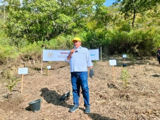 Foto: Anggota Komisi VII DPR RI Lamhot Sinaga mengapresiasi Program CSR dari PT Inalum berupa penanaman pohon Macadamia Nut di Humbahas, Sumatera Utara. (Ist.)