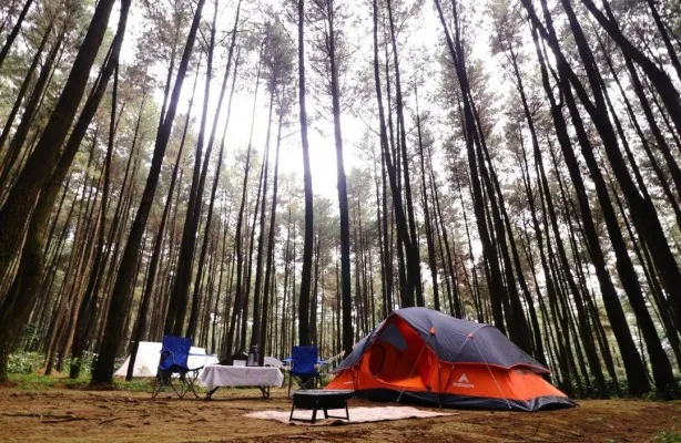 Wisata Alam Gunung Pancar Sentul Hanya1 Jam dari Jakarta, Cocok Banget untuk Liburan! (Instagram/@gunungpancar)