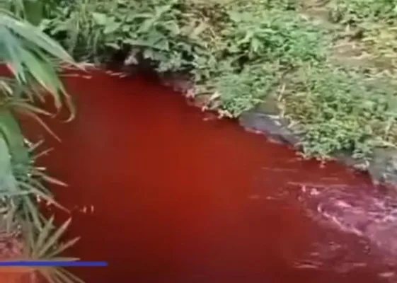 VIRAL Air di di Desa Kidal, Kecamatan Tumpang, Kabupaten Malang Berubah Merah.(Tangkapan layar @info_malang)