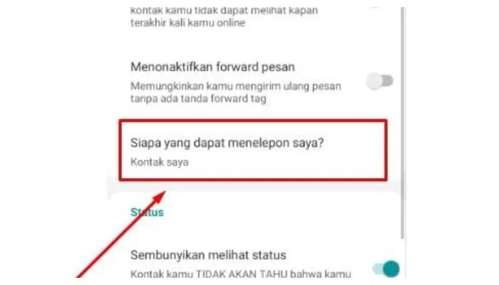 Cara blokir otomatis nomor tidak dikenal di WhatsApp dengan mudah. (Pinterest)