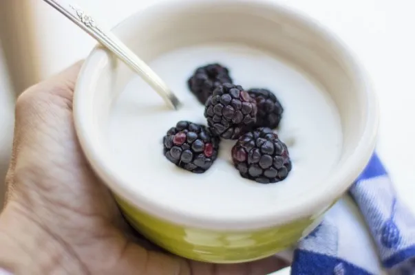 Yogurt termasuk salah satu camilan sehat yang aman dikonsumsi saat diet. (Pixabay/TerriC)