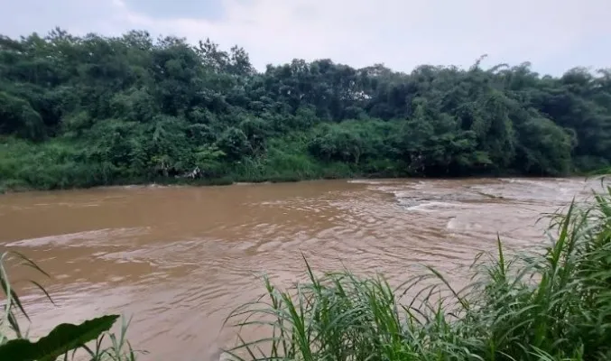 Ilustrasi Sungai Cileungsi.(Ist)