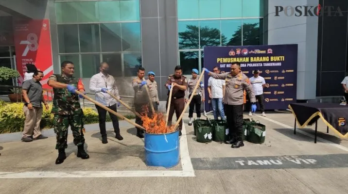 Kapolresta Tangerang bersama Kejaksaan Negeri Kabupaten Tangerang dan TNI memusnahkan barang bukti pohon ganja. (Foto/Veronica)