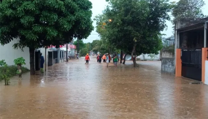 Kondisi banjir di Kabupaten Jember. (dok BNPB)