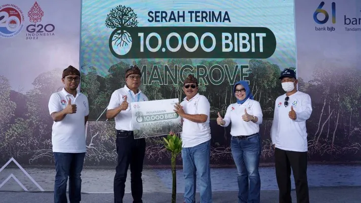 Penanaman 10.000 bibit mangrove.