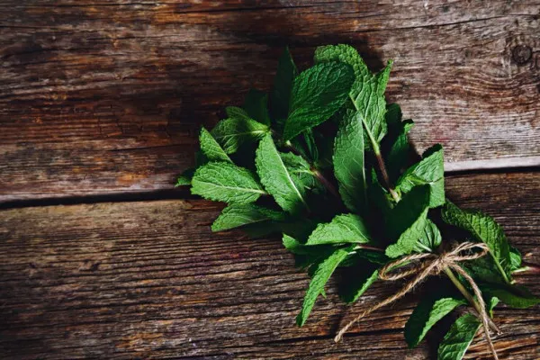 Daun mint yang kaya akan nutrisi ini diketahui memiliki kualitas terapuetik yang dapat digunakan sebagai solusi alami berbagai masalah kesehatan. (Freepik/Racool_studio)