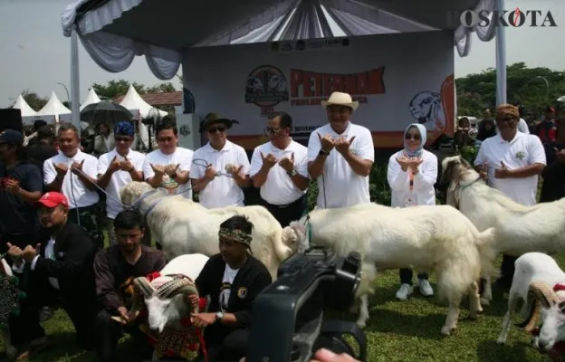 Rudy Susmanto Apresiasi Festival Ternak Domba-Kambing di Bogor (panca Aji)