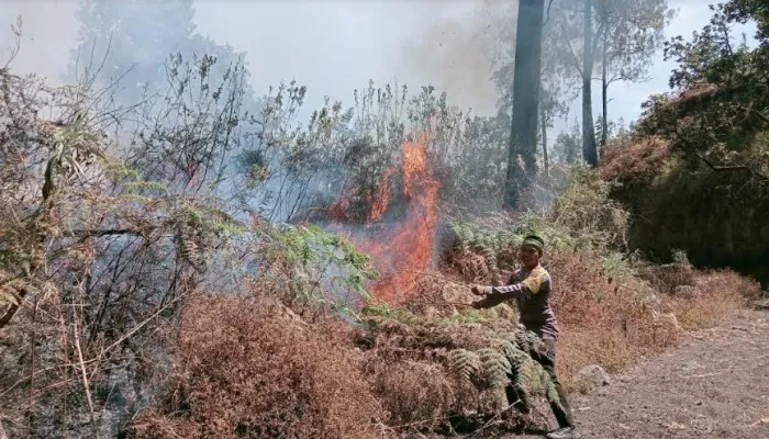 Karhutla di kaki Gunung Rinjani. (ist)