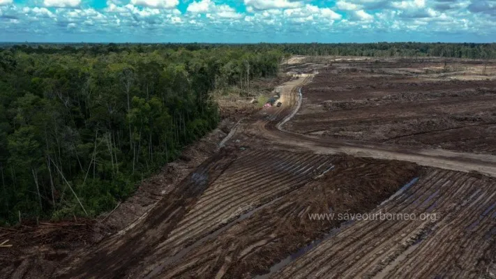 Teks foto: Food Estate. (ist)