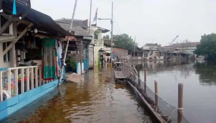 Banjir Rob menerjang kawasan Marunda Pulo,Jakarta Utara.(rizki)