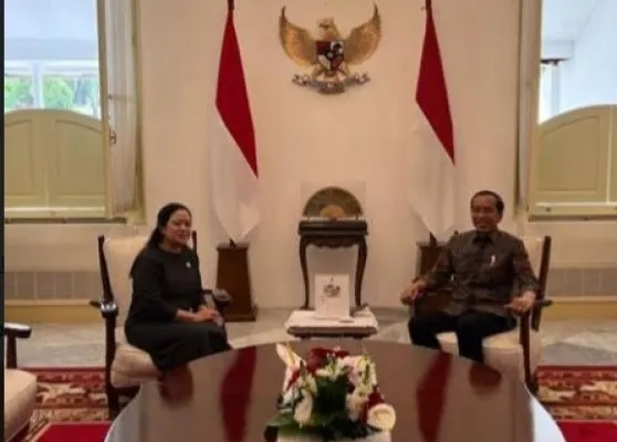 Ketua DPR, Puan Maharani saat  bertemu dengan Presiden Joko Widodo (Jokowi) di Istana Merdeka. (dok. PDIP)